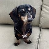 Dachshund Necklace Large